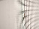 TRADEBASE Fly Screen Insect Black Fiberglass Window Doors Mesh 910mm x 50Metre - Image 7