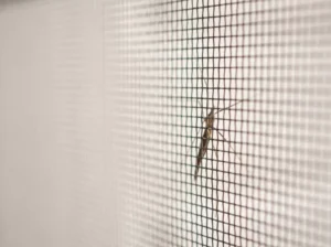 TRADEBASE Fly Screen Insect Black Fiberglass Window Doors Mesh 910mm x 50Metre - Image 7