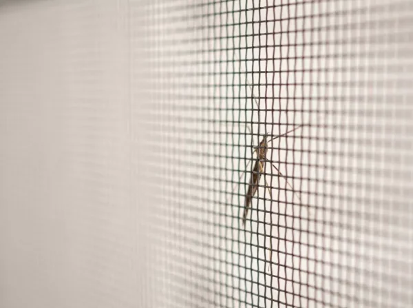TRADEBASE Fly Screen Insect Black Fiberglass Window Doors Mesh 910mm x 50Metre - Image 7