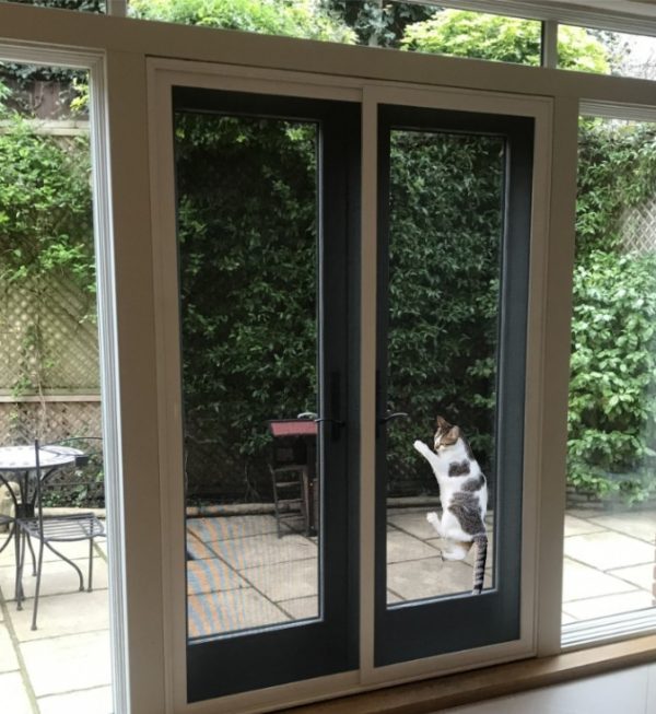 Pet-paw-proof-resistant-insect-flyscreen-mesh- cat-dog-enclosure-heavy dutydoor climbing cat-replacement