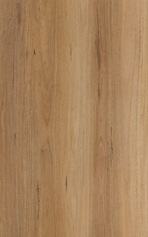 tradebase-7mm-spc-hybris-flooring-blackbutt